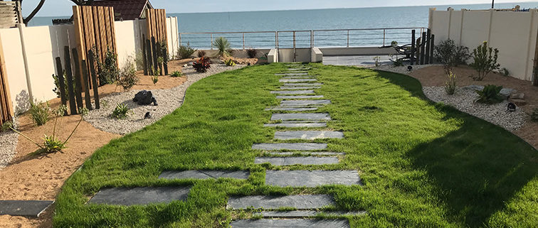 accès à la mer, gazon chemin ardoises- 3 mois après