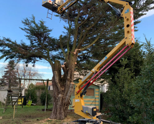 Paysagiste La Plaine sur Mer - entretien des arbres avec nacelle