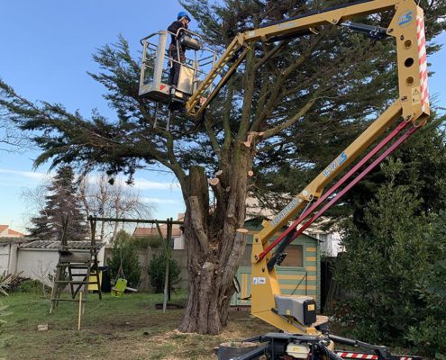 Entretien jardin Pornic élagage La Plaine sur Mer déduction d'impôts jardinier paysagiste