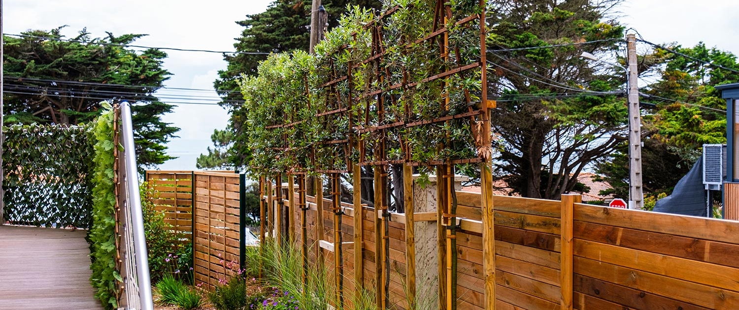 Pornic Brise-vue chêne vert palissé - Au Jardin des Rêves, creation et entretien de jardin de reve.