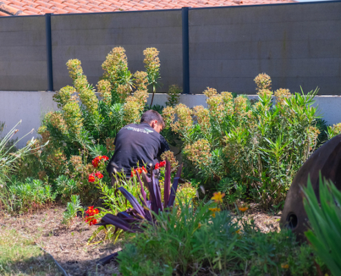 Entretien de jardin dans un massif fleuri. Sensé représenter l'entretien selon les saisons. Création de jardin de reve, par au jardin des reves, paysagiste la plaine sur mer, paysagiste pornic, Saint brevin les pins, la bernerie, saint michel chef chef, préfailles.