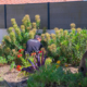 Entretien de jardin dans un massif fleuri. Sensé représenter l'entretien selon les saisons. Création de jardin de reve, par au jardin des reves, paysagiste la plaine sur mer, paysagiste pornic, Saint brevin les pins, la bernerie, saint michel chef chef, préfailles.