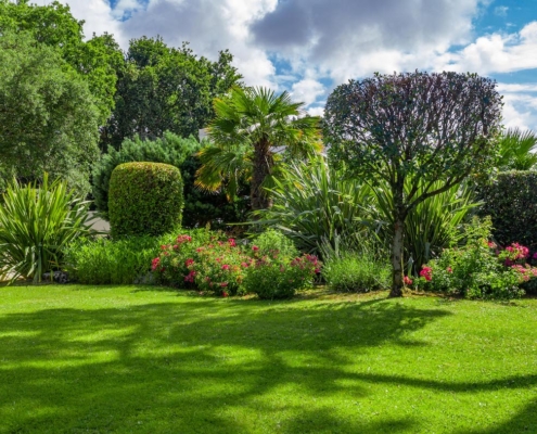 Un jardin de reve, crée par Au jardin des Reves, paysagiste pornic, paysagiste la plaine sur mer.