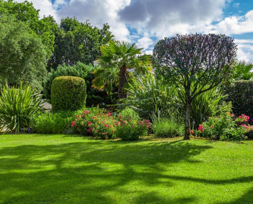 Un jardin de reve, crée par Au jardin des Reves, paysagiste pornic, paysagiste la plaine sur mer.