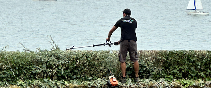 Taille de haie. entretien de jardin de reve, par au jardin des reves, paysagiste la plaine sur mer, paysagiste Pornic.