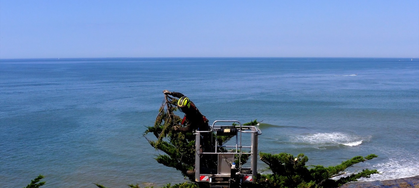 elagage sur nacelle. creation et élagage de jardin de reve, par au jardin des reves, paysagiste la plaine sur mer, paysagiste Pornic. saint brevin les pins, la bernerie, saint michel chef chef, préfailles.