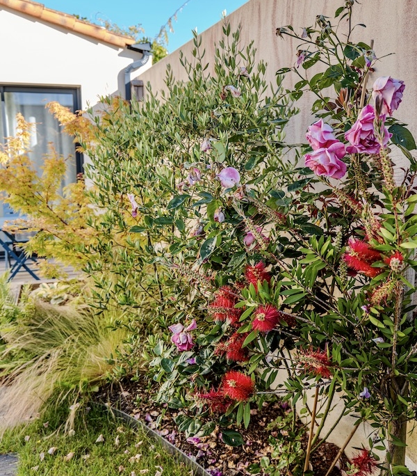 Massif fleuri. Création de jardin de reve, par au jardin des reves, paysagiste la plaine sur mer, paysagiste Pornic. saint brevin les pins, la bernerie, saint michel chef chef, préfailles.