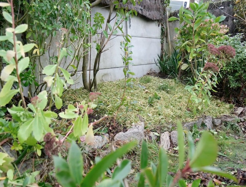 erreurs à ne pas faire en entretien de jardin. Création de jardin de reve, par au jardin des reves, paysagiste la plaine sur mer, paysagiste Pornic. saint brevin les pins, la bernerie, saint michel chef chef, préfailles.