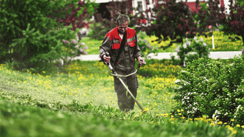 Un homme en train de débroussailler un jardin