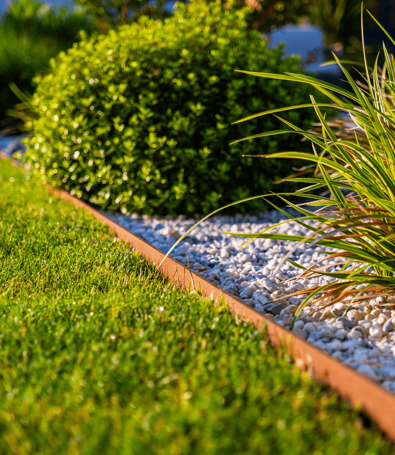 Bordure Paillage naturel et minéral. Création de jardin de reve, par au jardin des reves, paysagiste la plaine sur mer, paysagiste Pornic. saint brevin les pins, la bernerie, saint michel chef chef, préfailles.