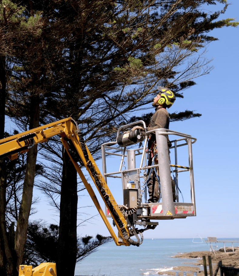 elagage sur nacelle. creation et élagage de jardin de reve, par au jardin des reves, paysagiste la plaine sur mer, paysagiste Pornic. saint brevin les pins, la bernerie, saint michel chef chef, préfailles.