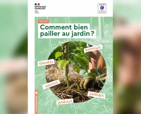 Infographie comment bien pailler au jardin, créer par l'ADEME.