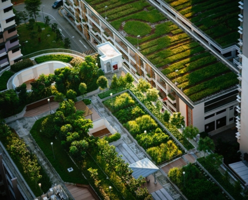 jardins urbains. Au Jardin des reves, paysagiste pornic, paysagiste la plaine sur mer.