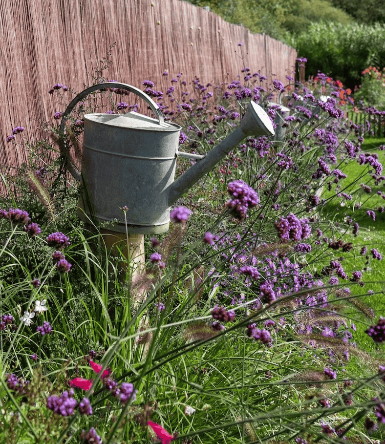 arrosoir, dans un jardin de reve, crée par Au Jardin des reves, paysagiste pornic, paysagiste la plaine sur mer.