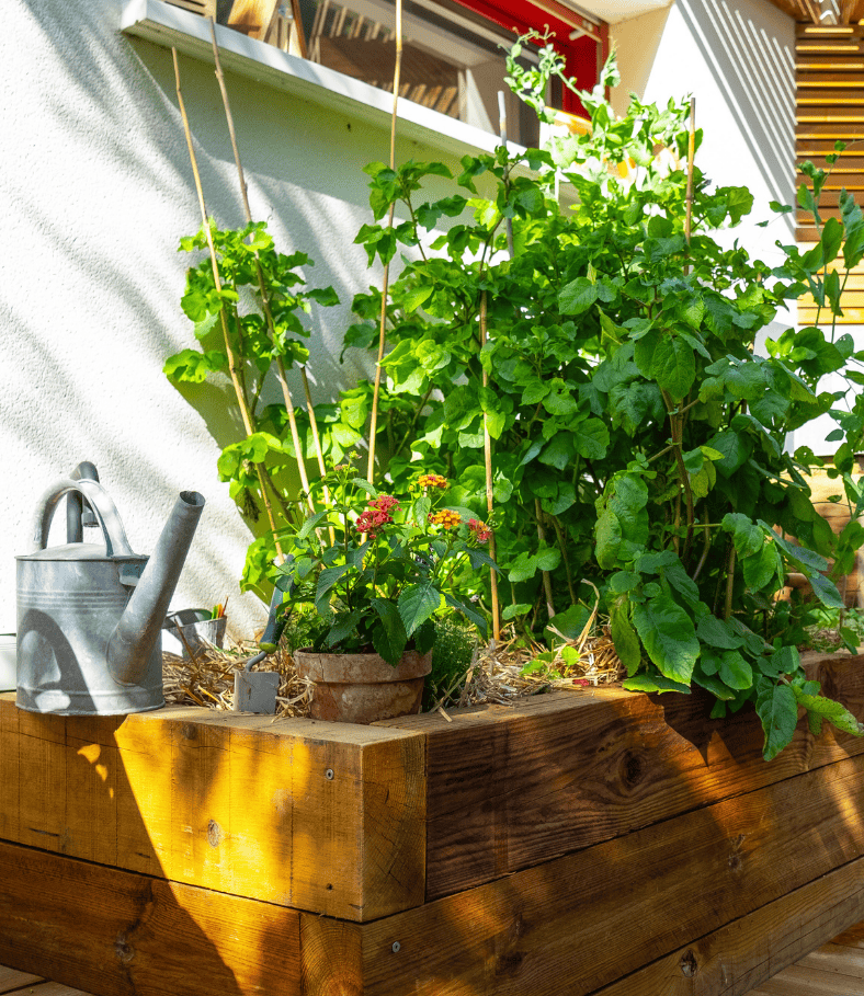 cuisine ete pornic carre potager au jardin des reves