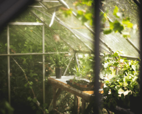 Serre potager intérieur eco conception et bio materiaux au jardin des reves